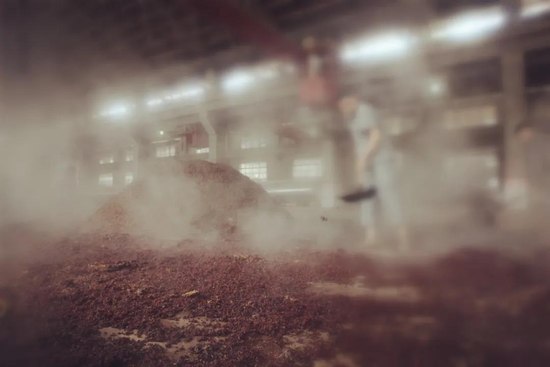 圖片5.jpg 圖片5.jpg