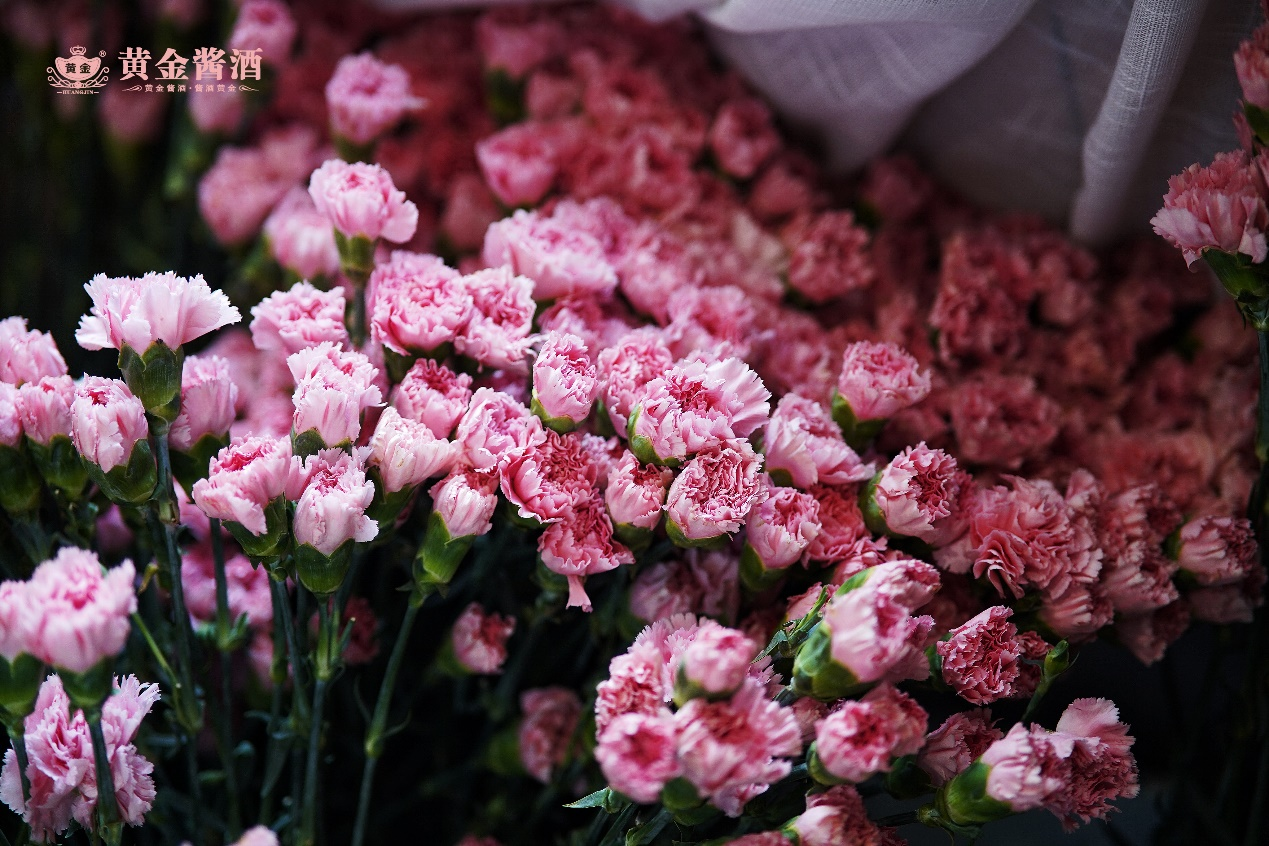 圖片1.png 圖片1.png